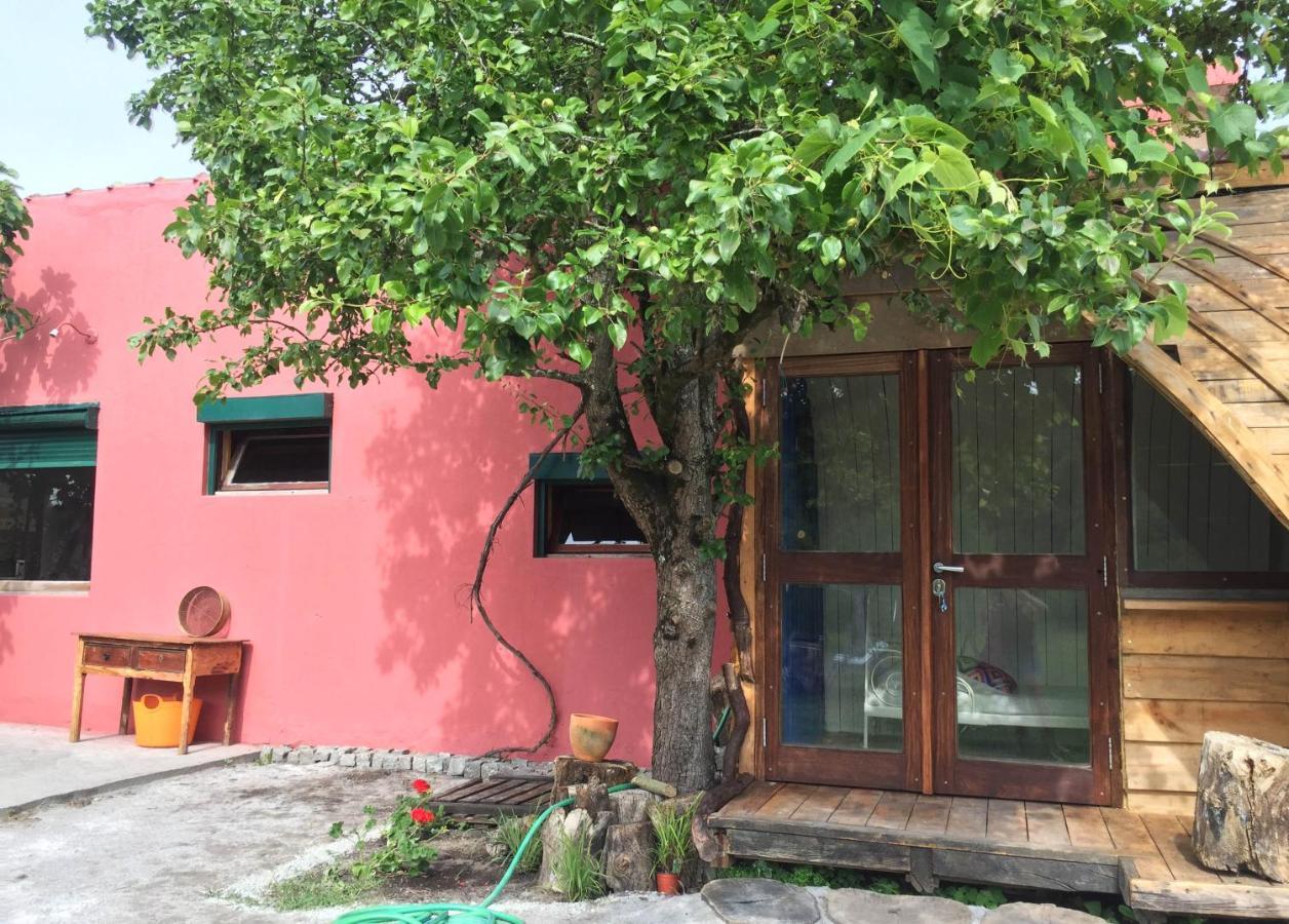 Villa Maceda Surf Camp Extérieur photo